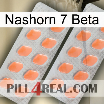 Rhino 7 Beta 27